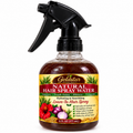 Goldstar Natural Hair Spray Water – 6 FL OZ